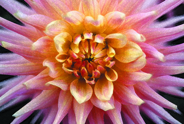 Bursting Open