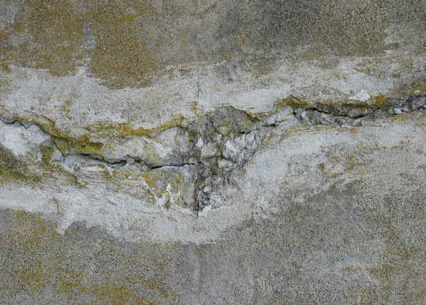 Crack in the Concrete #1
