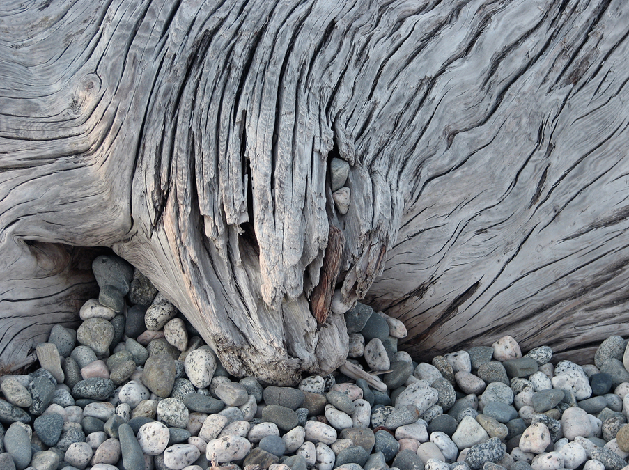 Stump & Stones