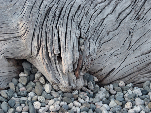 Stump & Stones