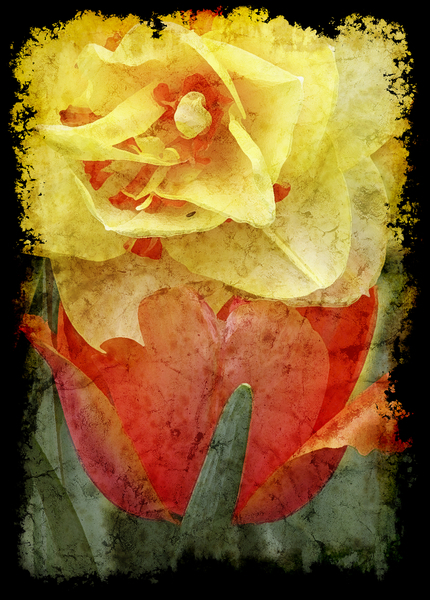 Yellow on Red